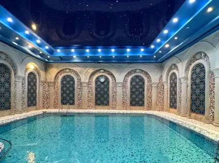 ستاره ونک