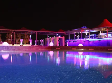 ستاره ونک