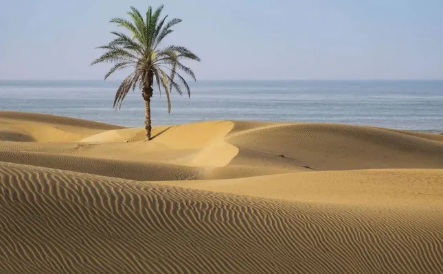 تور چابهار