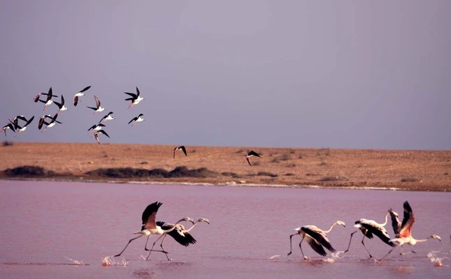 تور چابهار