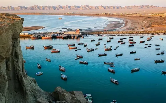ستاره ونک