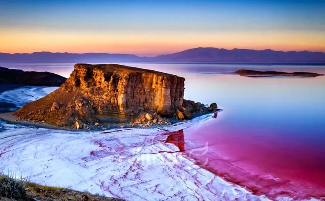 ستاره ونک