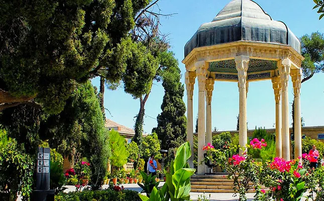 ستاره ونک