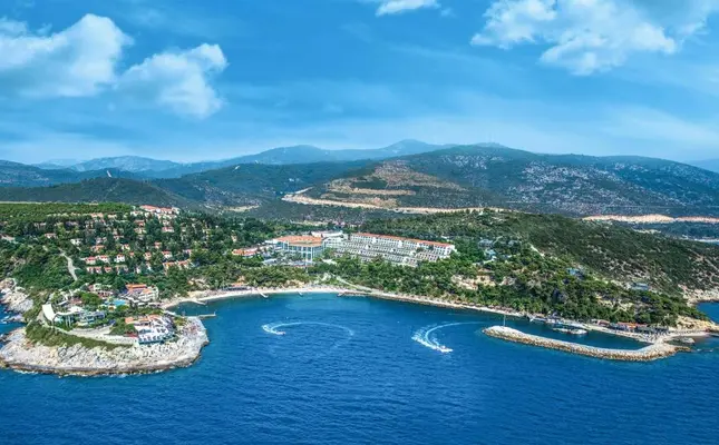 ستاره ونک
