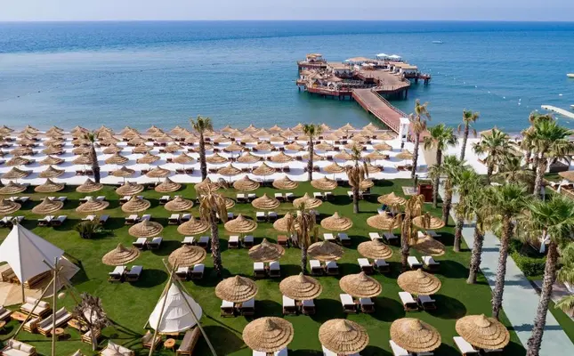 ستاره ونک