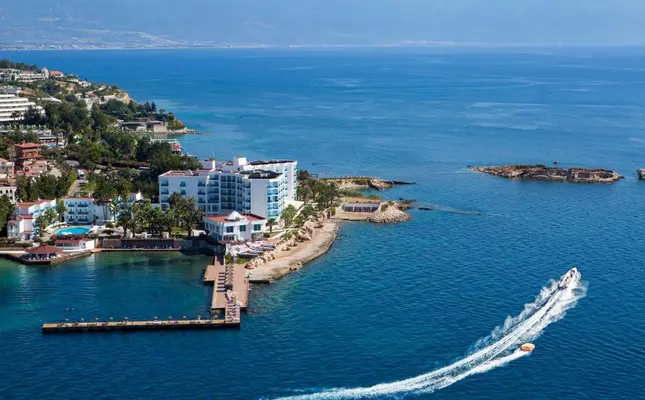 ستاره ونک