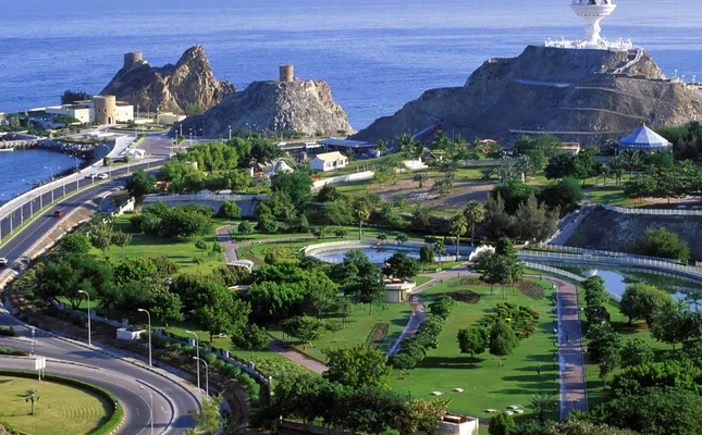 ستاره ونک