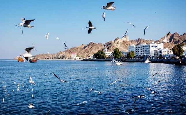 ستاره ونک