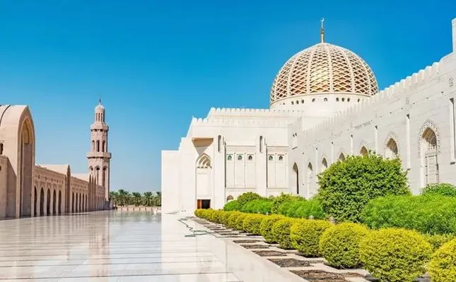 ستاره ونک