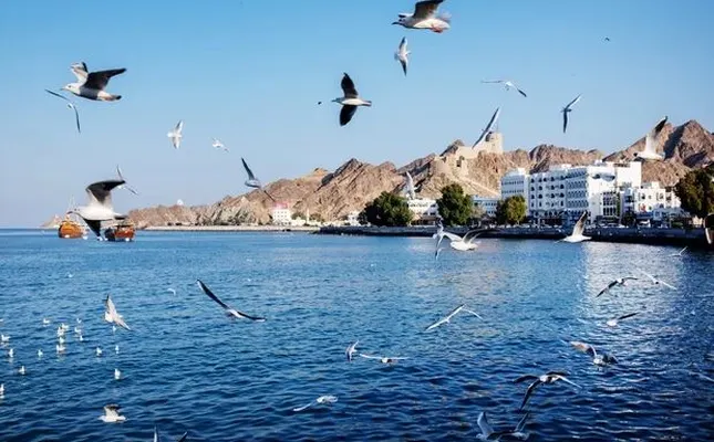 ستاره ونک