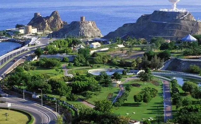 ستاره ونک