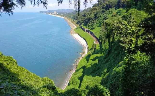 ستاره ونک