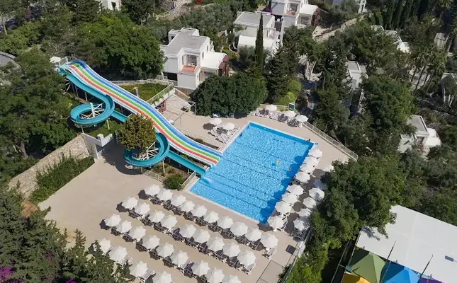 ستاره ونک